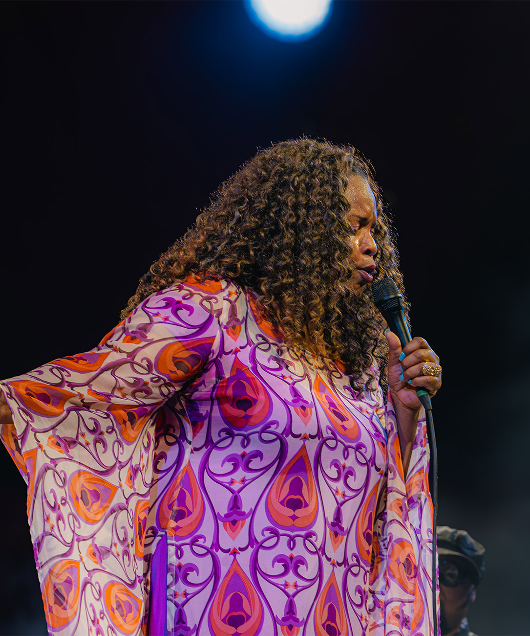 Akrajazz Dianne Reeves Galeri