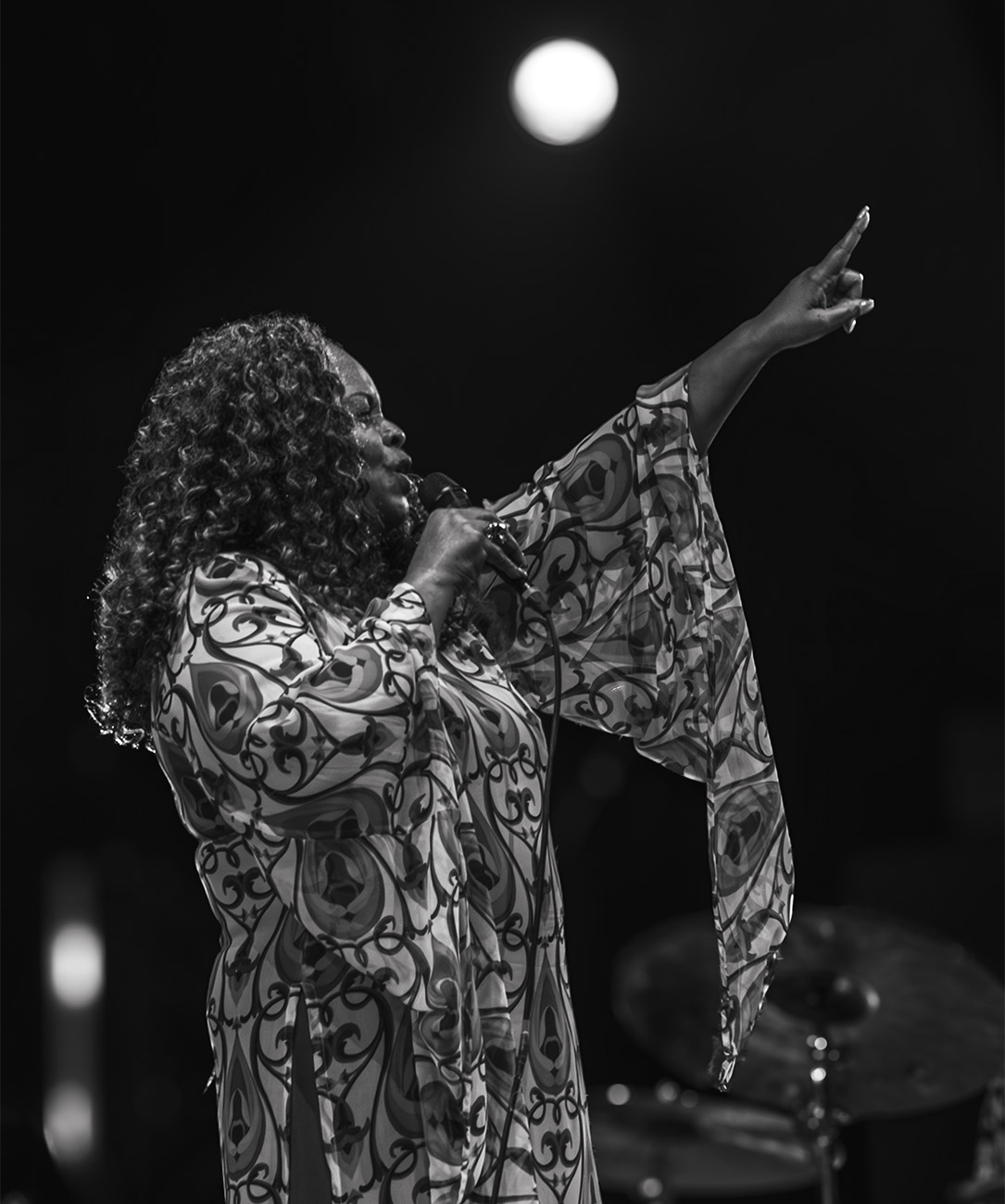 Akrajazz Dianne Reeves Galeri2