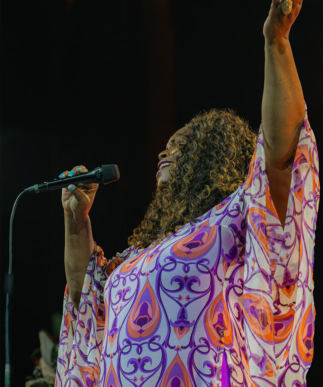Akrajazz Dianne Reeves Galeri6